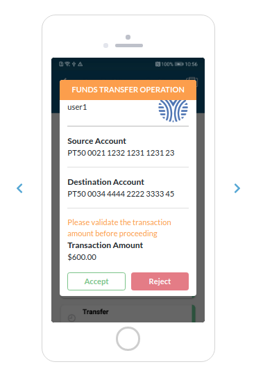 "Funds Transfer Simulator 600 EUR (2)"